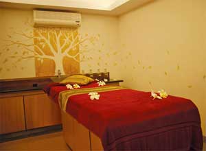 Devaaya Ayurveda Hotel, Goa