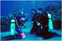 Scuba Diving in Goa