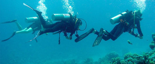 Scuba Diving Courses in Goa