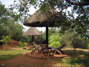 Wildernest Nature Hotel, Goa